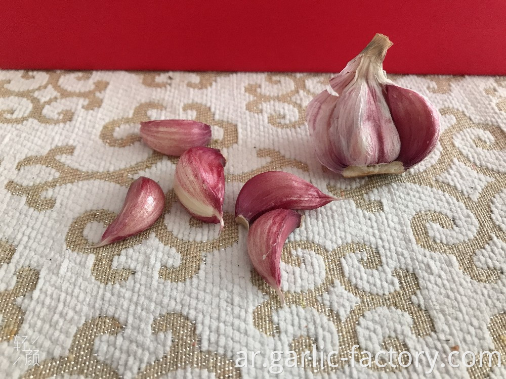 NORMAL WHITE FRESH GARLIC